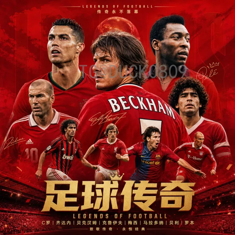 实时2026年世界杯主办城市全景介绍：美加墨三国16城亮点解析